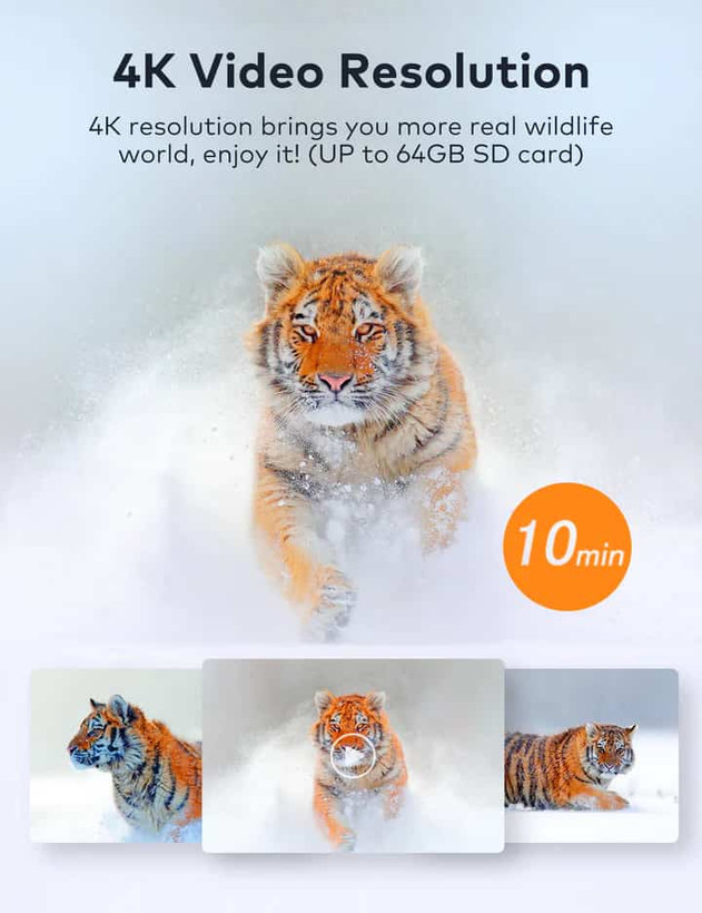دوربین تله ای حیات وحش Apeman مدل H80 Wildlife Camera