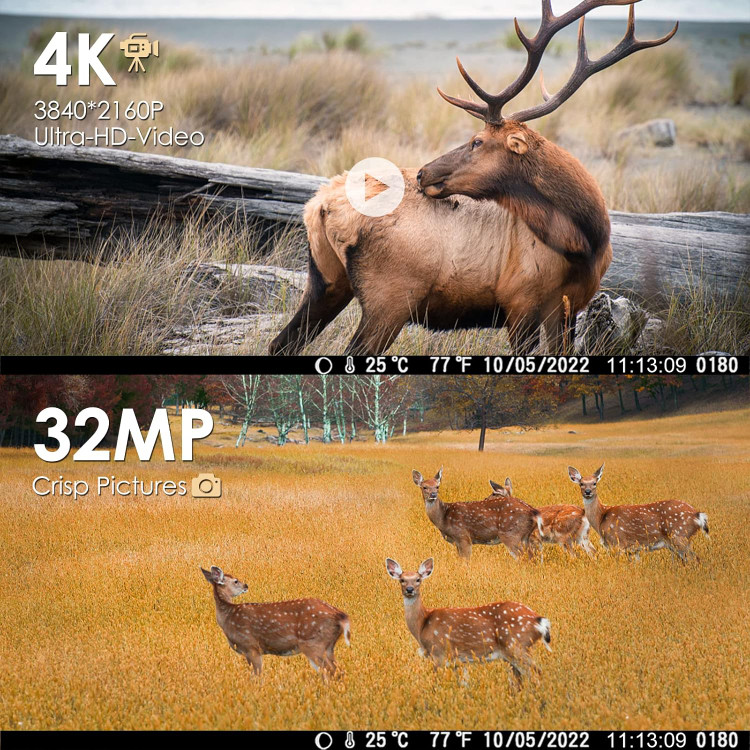 دوربین تله ای حیاط وحش برند : MAXDONE مدل : PH800 Trail Camera