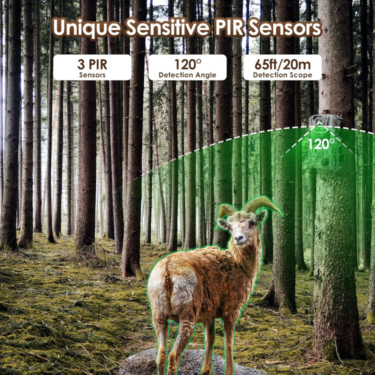 دوربین تله ای حیاط وحش برند : MAXDONE مدل : PH800 Trail Camera