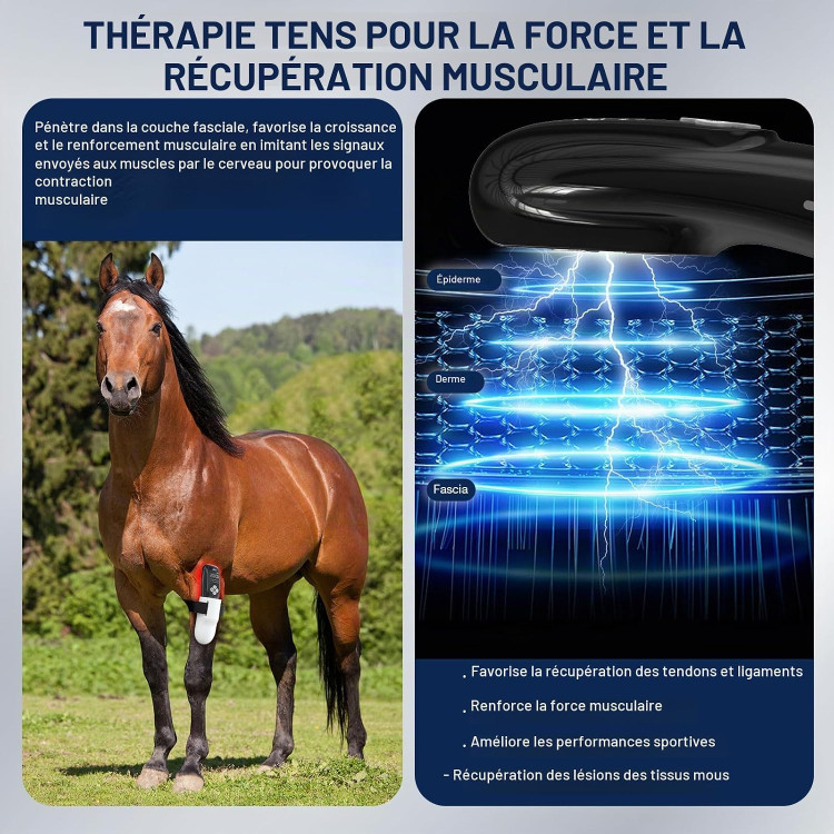 دستگاه ۳ کاره فیزیوتراپی دامپزشکی برند PUPCA (لیزر سرد + تحریک عضلانی) مدل VET-MTC