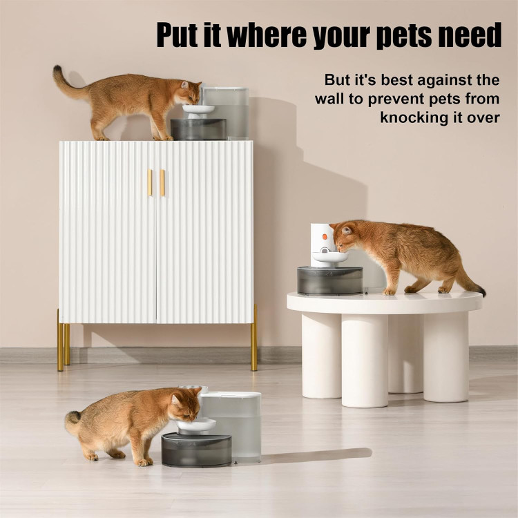 آبخوری هوشمند گربه برند Petgravity مدل PG-CS601 (دارای آبنمای اتوماتیک با قابلیت پر کردن خودکار)